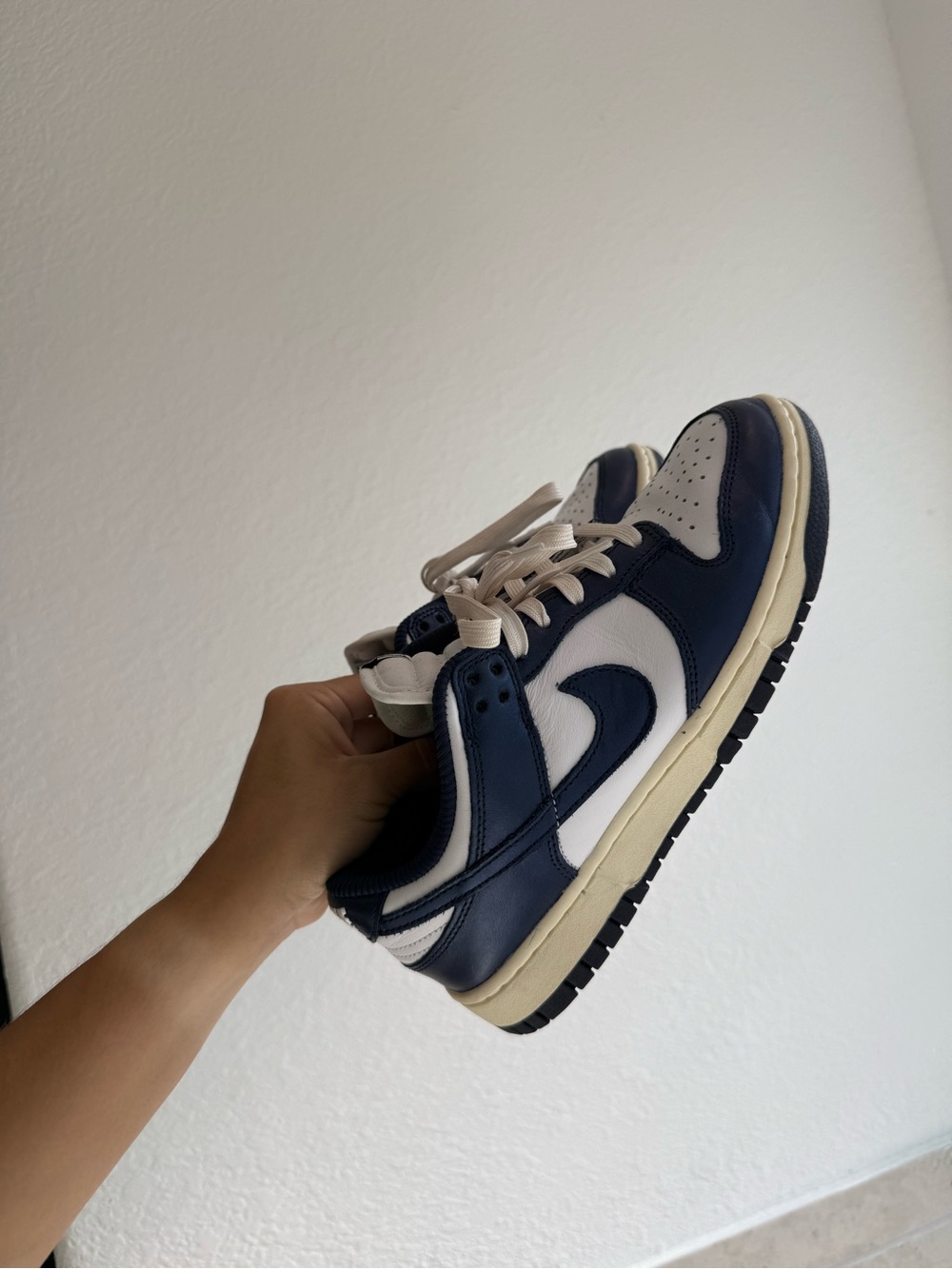 Women’s Nike dunks